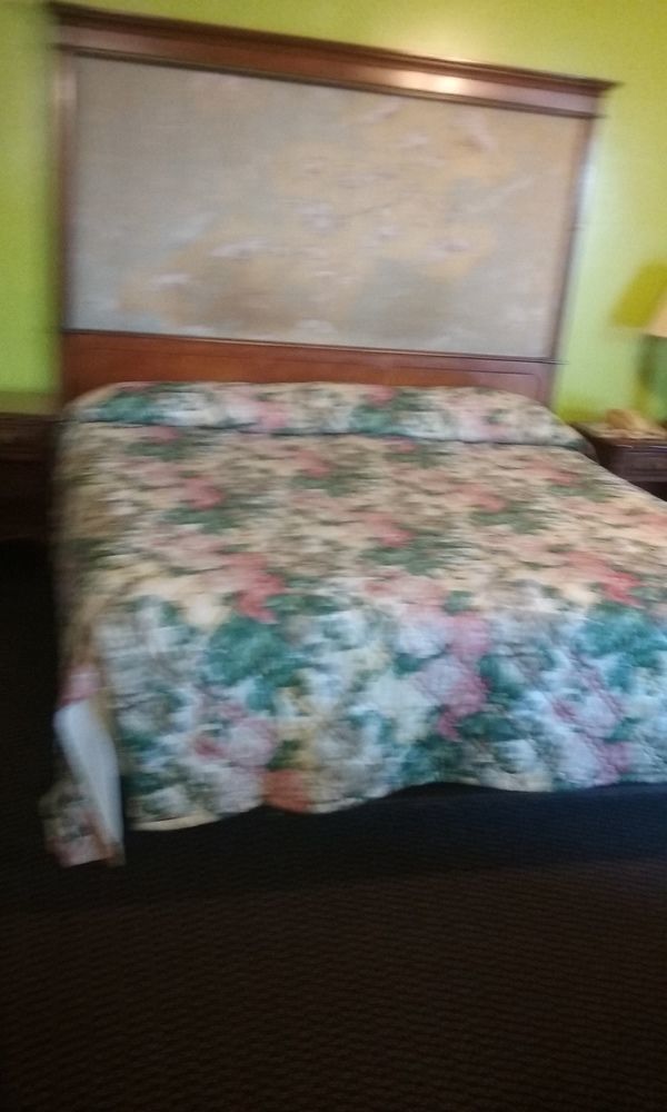Hillside Motel Homer Екстер'єр фото