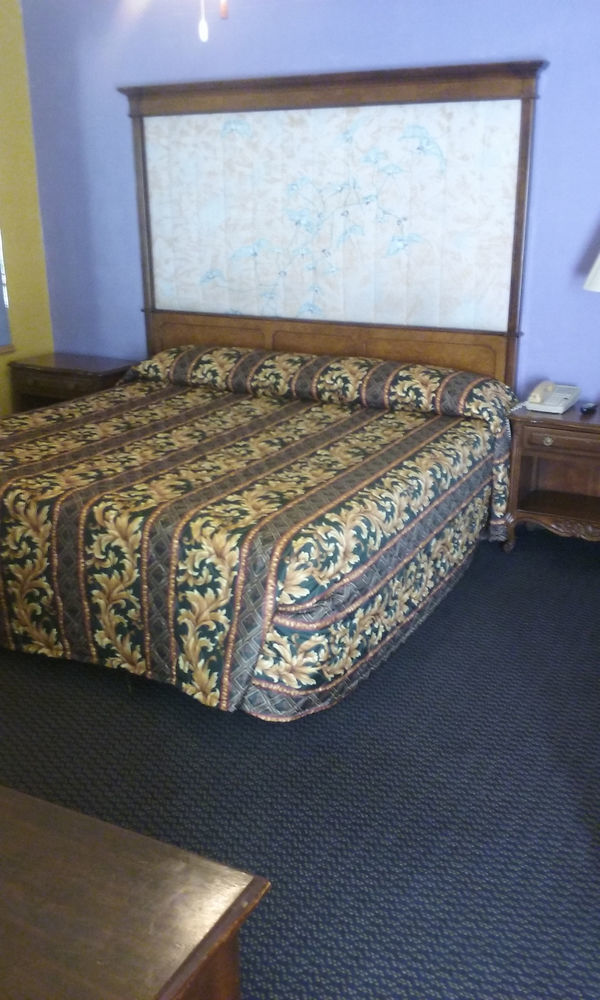 Hillside Motel Homer Екстер'єр фото